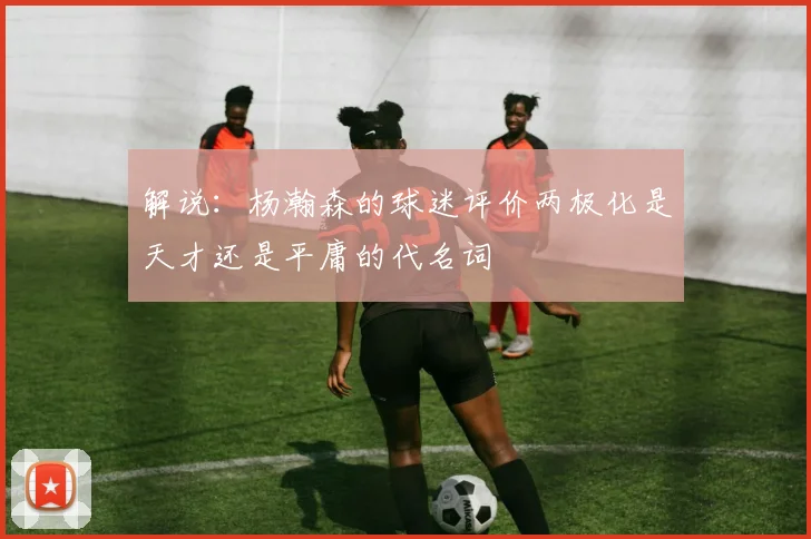 解说：杨瀚森的球迷评价两极化是天才还是平庸的代名词