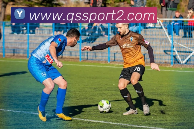 球速体育平台生态图